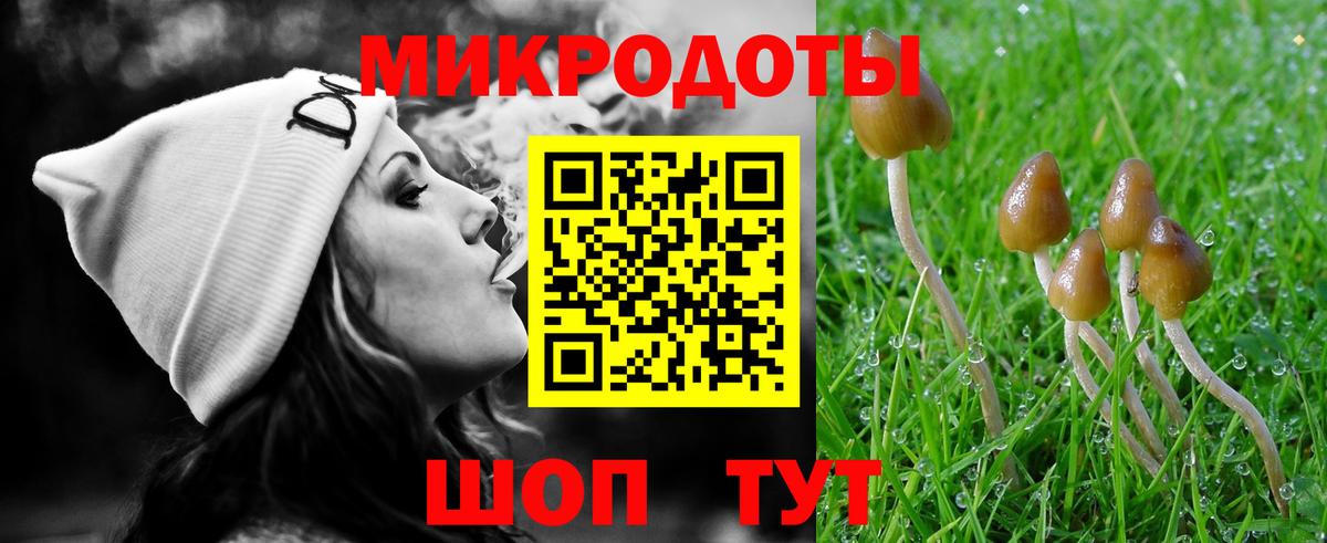 Галлюциногенные грибы MAGIC MUSHROOMS Муром