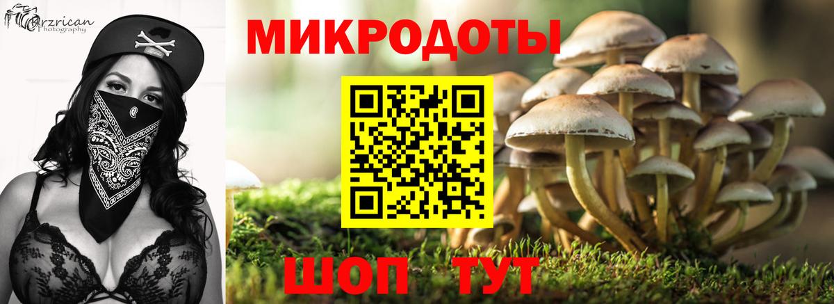 Галлюциногенные грибы прущие грибы  Вход с VPN  Галлюциногенные грибы GOLDEN TEACHER  Муром 